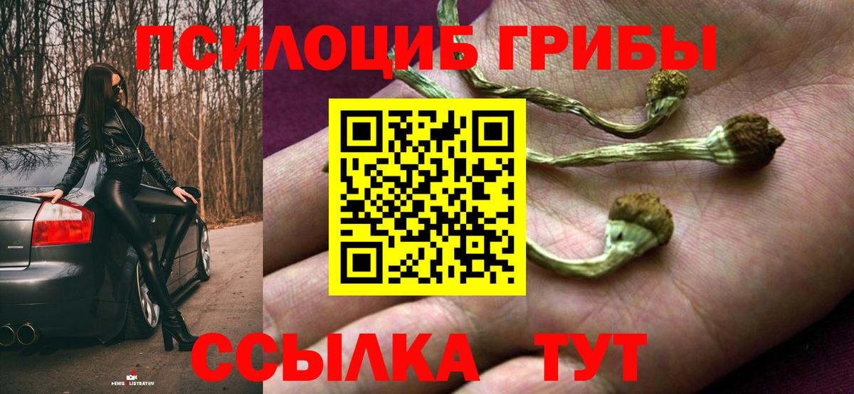 Псилоцибиновые грибы Magic Shrooms Зеленогорск