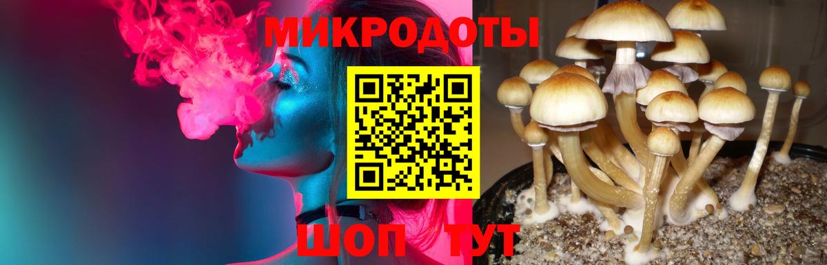 ГАШИШ Зеленогорск